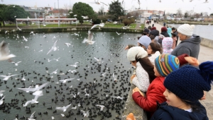 SOSYAL TESİSLERİN ATIK EKMEKLERİYLE MARTILARI DOYURDULAR