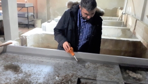 Alabalık Sağımı Devam Ediyor