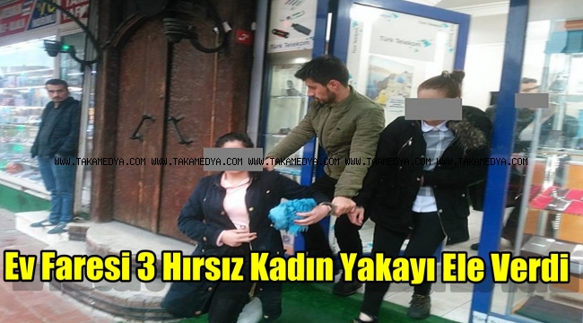 Güngören'in Hırsız Fareleri Yakalandı