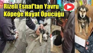 Rizeli Esnaf Ölmek Üzere Olan Yavru Köpeği Suni Teneffüsle Hayata DöndürdüVİDEO HABER