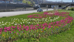 TRABZON'DA İSPİRYA ŞÖLENİ