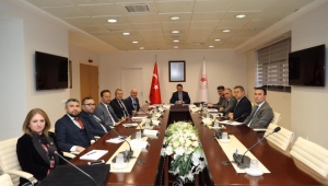 Zeytinde pilot Akhisar Hedef 100 milyon ağaç