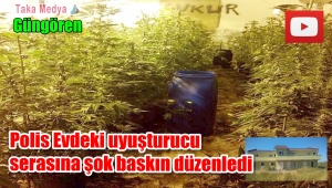 Güngören'de Uyuşturucu Yetiştirilen Eve Baskın 3 Gözaltı