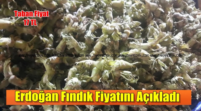 Erdoğan Fındık Üreticisine Müjdeyi Verdi 