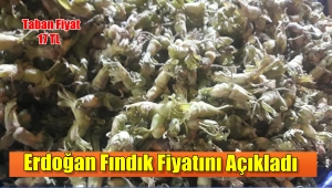 Erdoğan Fındık Üreticisine Müjdeyi Verdi 