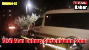 Alköllü Dolmuş Sürücüsü Mahalle Arasına Girince