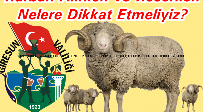 Kurbanlık Hayvan Alırken ve Keserken Dikkat Edilmesi Gereken Hususlar