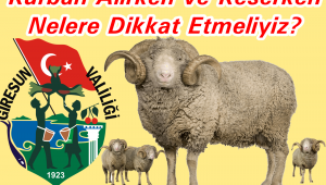 Kurbanlık Hayvan Alırken ve Keserken Dikkat Edilmesi Gereken Hususlar