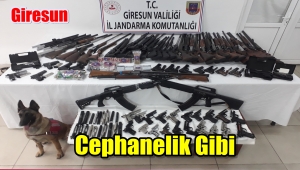 GİRESUN'DA JANDARMADAN OPERASYON 8 GÖZALTI