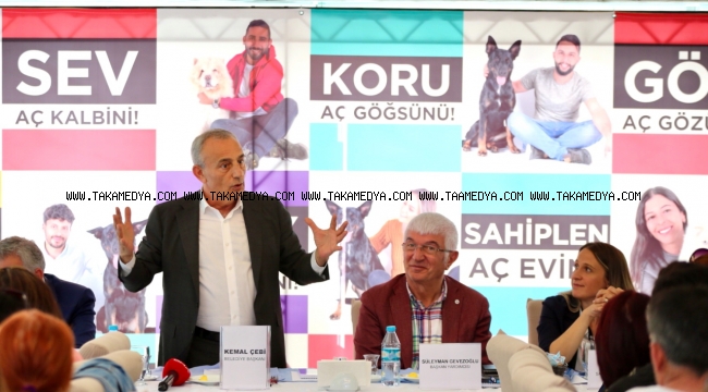 KÜÇÜKÇEKMECE BELEDİYESİ’NDEN SOKAK HAYVANLARI REHABİLİTASYON MERKEZİ MÜJDESİ