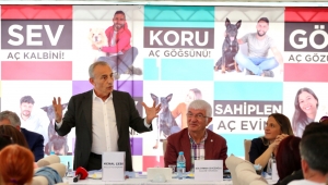 KÜÇÜKÇEKMECE BELEDİYESİ’NDEN SOKAK HAYVANLARI REHABİLİTASYON MERKEZİ MÜJDESİ