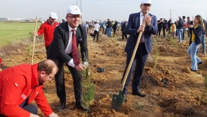 20 BİN FİDAN TOPRAKLA BULUŞTU