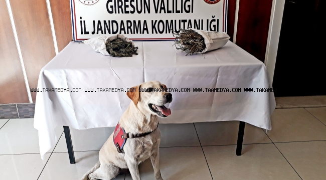 JANDARMA ZEHİR TACİRLERİNE GÖZ AÇTIRMIYOR