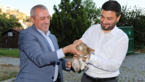 SOKAK HAYVANLARI İÇİN BELEDİYE VE VATANDAŞ EL ELE VERDİ