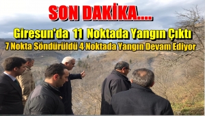 VALİ SARIFAKIOĞULLARI, YANGIN BÖLGESİNDE İNCELEMELERDE BULUNDU