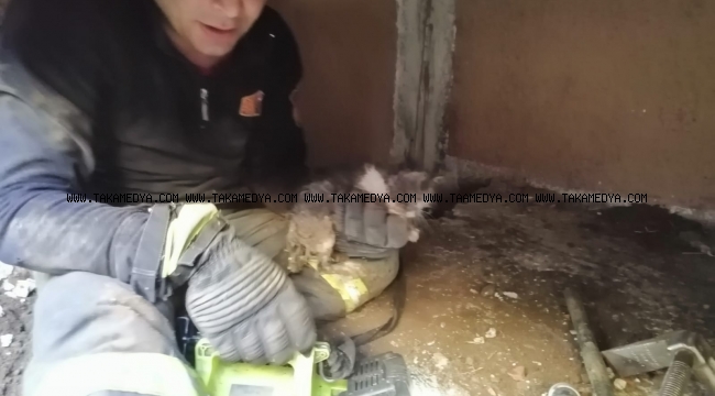 Yağmur kanalına sıkışan kediyi itfaiye kurtardı