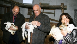 Eşinin altınlarıyla iş kurdu hibe desteğiyle başarı sağladı 