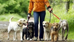 Köpeğimi gezdiriyorum dedi 700 lira ceza yedi