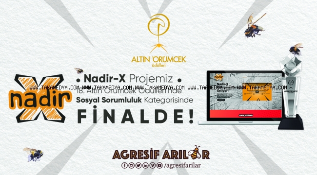 AGRESİF ARILAR ALTIN ÖRÜMCEK'TE FİNALE KALDI!