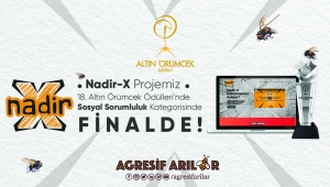 AGRESİF ARILAR ALTIN ÖRÜMCEK'TE FİNALE KALDI!