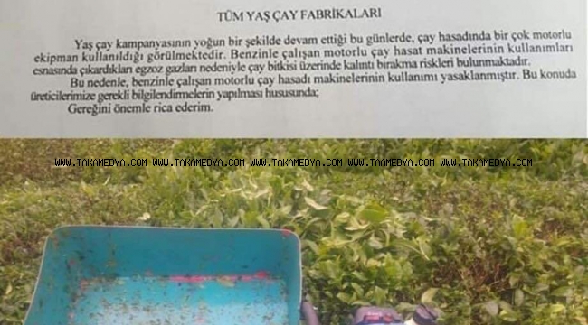 Çaykur O Makaslara Yasak Getirdi