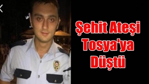 Bağcılar'da Şehit Edilen Erkan Gökteke'nin Tosya'daki Baba Ocağında Gözyaşı Var