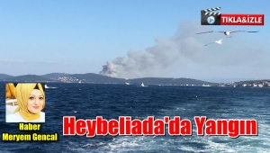 Heybeliada'da BüyükYangın