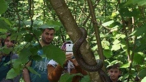 Trabzon İl Sağlık Müdürlüğünden Yılan Uyarısı
