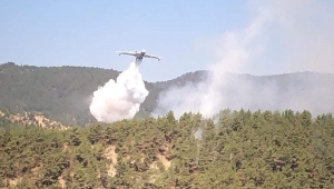 Sinop'taki Yangına Hava ve Karadan Müdahale Ediliyor