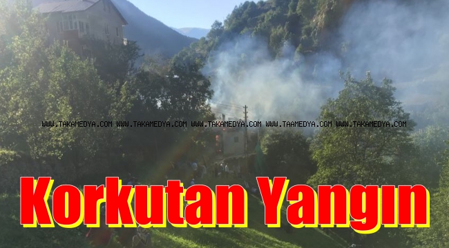 Çaykara'da Yangın