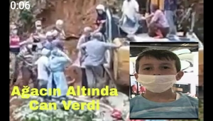 Hayrat'ta Ağacın Altında Kalan Aziz Bıçak Hayatını Kaybetti