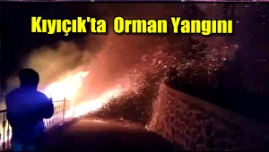 Görüntülü Haber/ Of'ta Orman Yangını