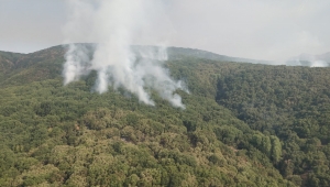 Tunceli'de 2 helikopter ve 1 uçakla yangına müdahale sürüyor 