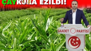 ÇAYKURA EZİLDİ!