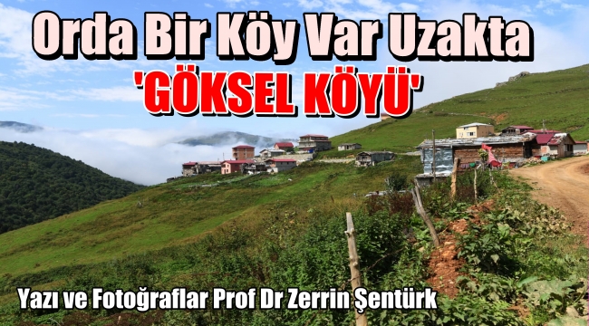 TRABZON'UN PRENSESİ: GÖKSEL KÖYÜ