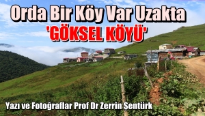 TRABZON'UN PRENSESİ: GÖKSEL KÖYÜ