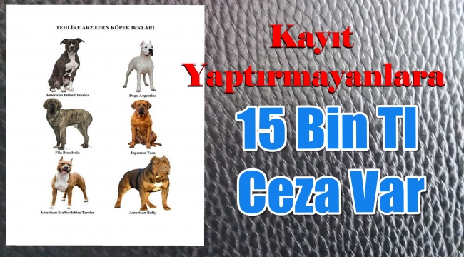 Bakanlıktan Uyarı'Kayıt Yaptırmayanlara Ağır Yaptırım Var