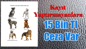 Bakanlıktan Uyarı'Kayıt Yaptırmayanlara Ağır Yaptırım Var