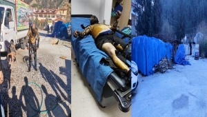 Ben Ölürsem Marmaris Belediyesi Katilim Olacak