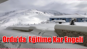 Ordu'da Olumsuz Hava Şartları Eğitimi Engelledi