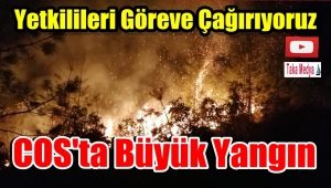 Görüntülü Haber// Of'taki Yangınlar İz Bırakıyor
