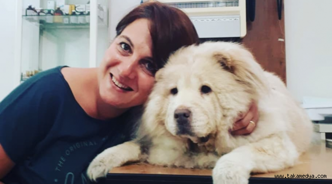 Köpeklerin yiyebileceği insan yiyecekleri