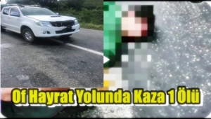 Asaf Kapıcıoğlu Kazada Hayatını Kaybetti