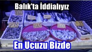  Cevahir Balıkçılık 'Halkımız Balık Tüketmeli
