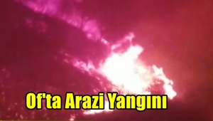 VİDEO HABER/ OF'TA BİTKİ ÖRTÜSÜ YANGINI