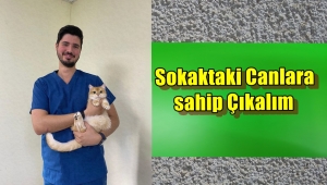 Veteriner Hekim Umut Şeker '' Sokataki Canlılarda Bizim