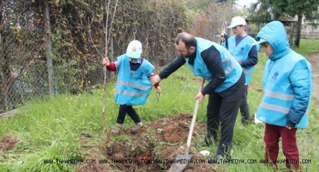 250 bin şehit için 250 bin fidan