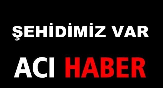 Acı Haber! 1 Asker Şehit