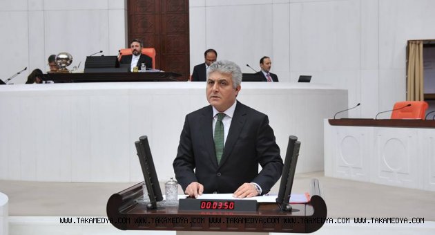 ADNAN GÜNNAR SÜRMENE ÇAMBURNU AÇIKLAMASI
