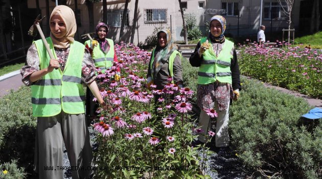 Bağcılar’da park ve bahçelere kadın eli değdi